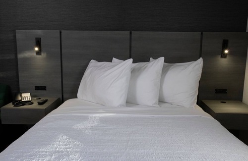 Wexford Hôtel | The Wexford Hotel