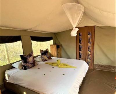 Thorny Bush Game Reserve Autre | The Wild Olive Tree Camp