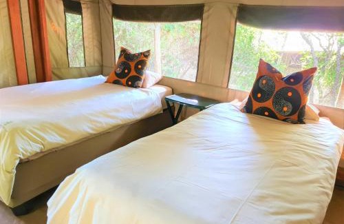 Thorny Bush Game Reserve Autre | The Wild Olive Tree Camp