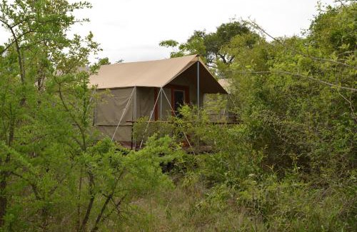 Thorny Bush Game Reserve Autre | The Wild Olive Tree Camp