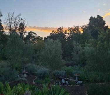Robertson Maison | The Wildflower