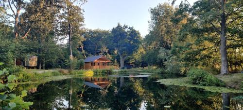 Nantwich Autre | The Willow Cabin - Wild Escapes Wrenbury off grid glamping - ages 12 and over