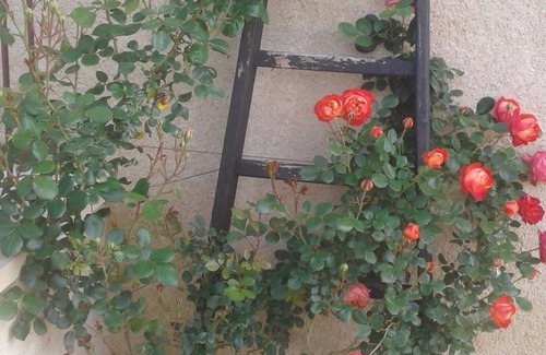 Semur-en-Brionnais Cottage | Le vieux cuvage