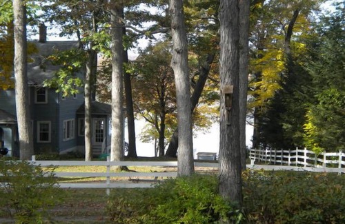 Perry Cottage | L'année Location Lakeside! Près de Letchworth State Park Finger Lakes!