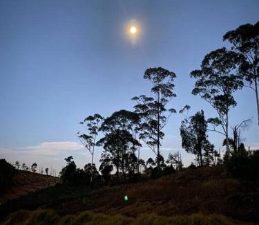 Naduvattam Maison | Thendral: Delightful homestay on a hill near Ooty