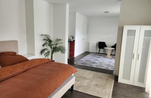 Hofheim am Taunus Appartement | TheSuites Frankfurt-Airport - Studio Room - Private WC, Shared Bathroom