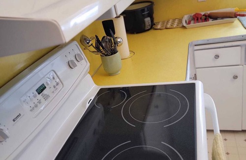 Saskatoon Downtown Maison | TheSunshine: Bright & Peaceful 2 Bedrm Main Floor Charcter Home