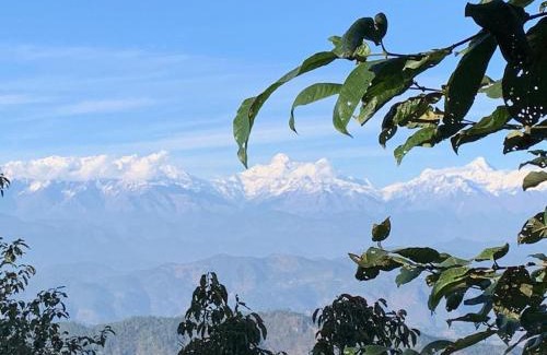 Almora Cabine | Thikalna Himalayan Retreat