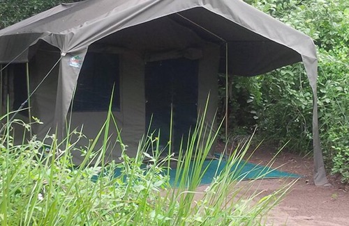 Moremi Autre | Third Bridge Mobile Camp