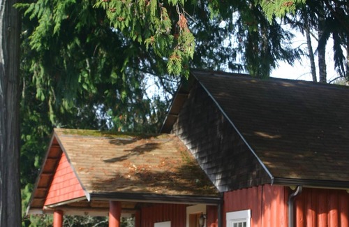 Ashford Cabine | This historic cabin is just a few miles from Mt Rainier National Park. Pet friendly. Fish pond, pastures, old cedars, 11-acres. Private hot tub surrounded by grove of old cedars.