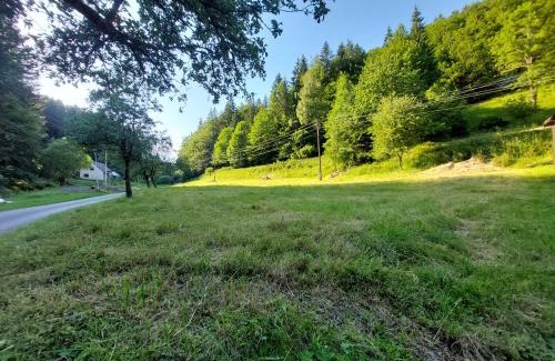 Kolarovice Autre | This is only meadow