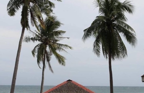 Laiya Maison | Cet endroit est un véritable paradis pour les amoureux de la nature. Serein et beau à son meilleur.