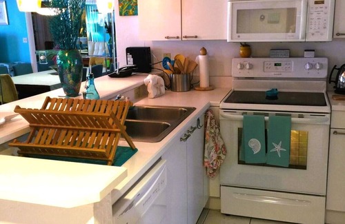 Ponce Inlet Copropriété | Beach View, Oceanfront Condo in Ponce Inlet FL