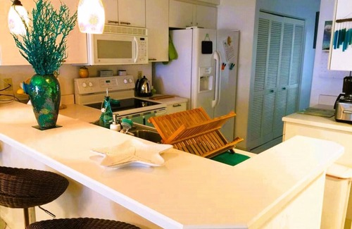 Ponce Inlet Copropriété | Beach View, Oceanfront Condo in Ponce Inlet FL