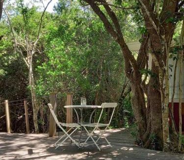 Buffalo Hills Game Reserve Appartement | Thornybush, Bridge Cottage