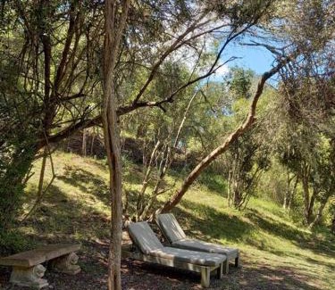Buffalo Hills Game Reserve Appartement | Thornybush, Bridge Cottage