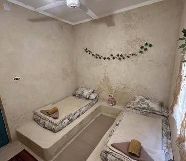 Siwa Maison | Thraa - ثراء