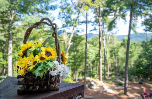 Hidden Lake Maison | Three Loves Cabin - Three Loves Cabin - Cherry Log GA - Hot Tub, Fire Pit