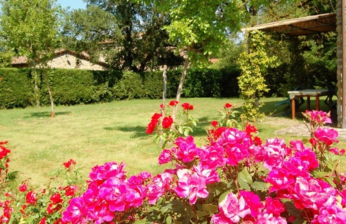 Bucine Appartement | Three-room Apartment on the Outskirts of Chianti