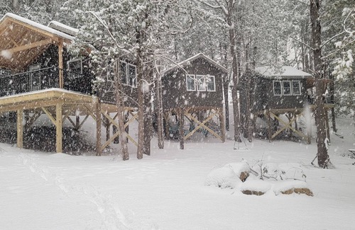 Elba Cabine | Three Treehouse Cabins in the Bluff Woodlands