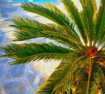 Milatos Beach Maison | Three Waves Maisonettes - Manoussos