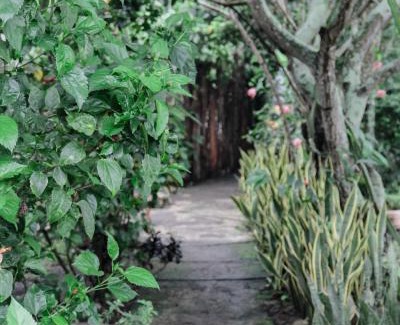 Kecamatan Praya Barat Daya Maison | Tiara Homestay