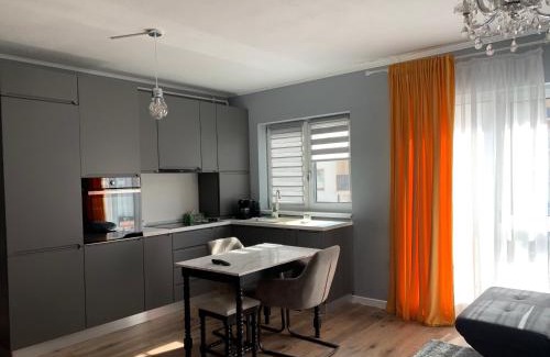 Cisnadie Appartement | Tiberiu Ricci Apartament
