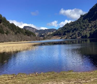 Coyhaique Maison | Tierras Altas de la Patagonia-Cabaña grande con acceso al lago
