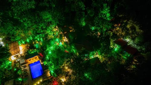 La Fortuna Hôtel | Tifakara Boutique Hotel & Birding Oasis