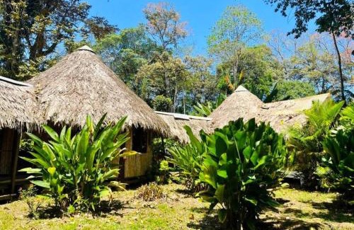 Puerto Viejo de Talamanca Maison | Tiki-Ti Tahitian Style Bungalows
