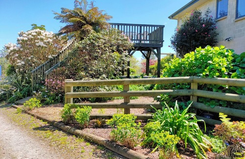 Tikitere Appartement | Tikitere Treasure - Peace, serenity and plenty of birdsong. nStudio unit.
