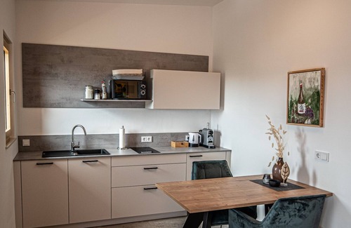 Horitschon Appartement | Time out directly at the winery