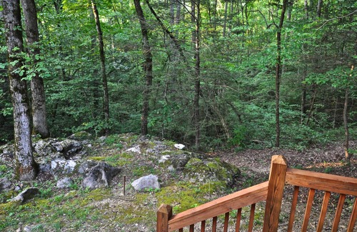 Townsend Cabine | Time Well Wasted - Une retraite dans les bois des montagnes