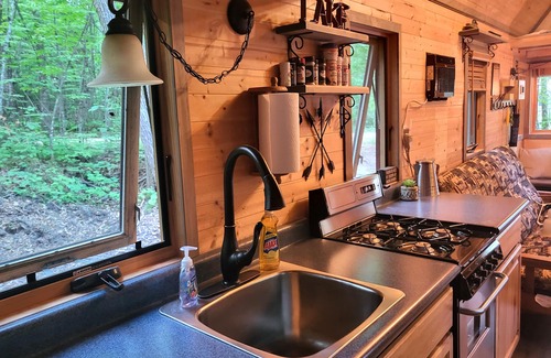Nevis Maison | Tiny bungalow secluded in the woods with lake view. Pets accepted!