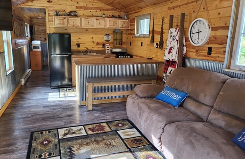 Nevis Cabine | Tiny cabin in towering pines, with lake view. Pets accepted!