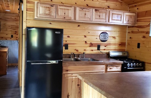 Nevis Cabine | Tiny cabin in towering pines, with lake view. Pets accepted!