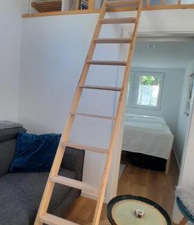 Arbshagen Autre | Tiny Haus C235 Wacholderdrossel