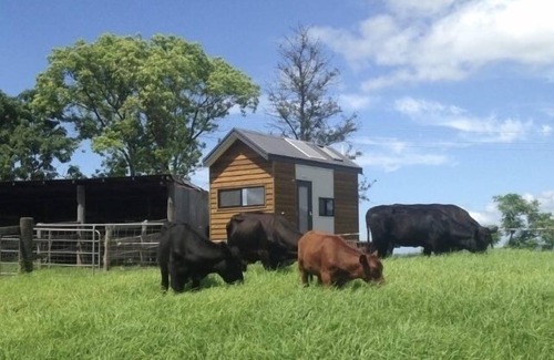 Kurrajong Maison | Tiny Home ... BIG Views