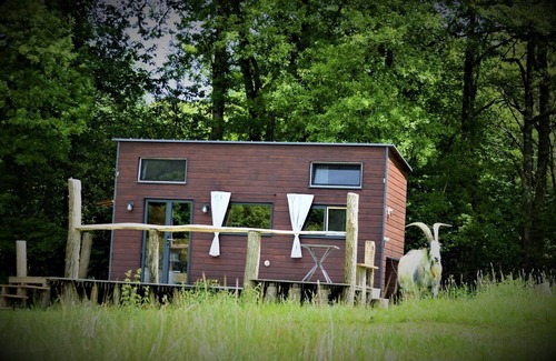 Saint-Bazile Maison | Tiny House au Bord D'un Étang - Terra Nostra