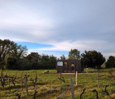 Arbis Cabine | Tiny House au milieu des Vignes