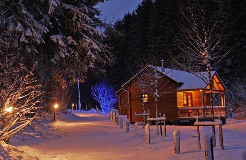 Tavigny Chalet De Ski | Tiny House Cetturu - 2-pers boshuisje op het domein van Bob & Henja