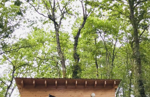 Vensac Chalet De Ski | Tiny House dans les bois à 10 minutes de l'océan