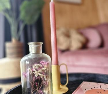 Westergeest Maison | Tiny house De Ljip