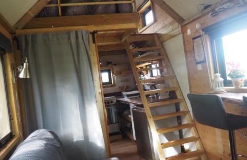 Silves Autre | Tiny house eco resort