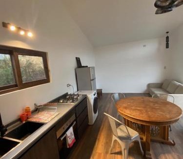 Valdivia Appartement | Tiny house en el bosque a 10 min de Valdivia, Wifi, Smart TV, free Parking
