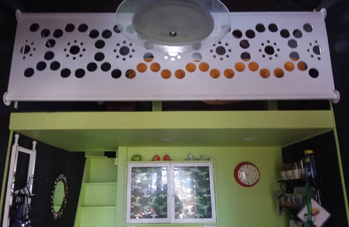 Rototai Cabine | TIny House experience, Lake Rotoiti, Rotorua