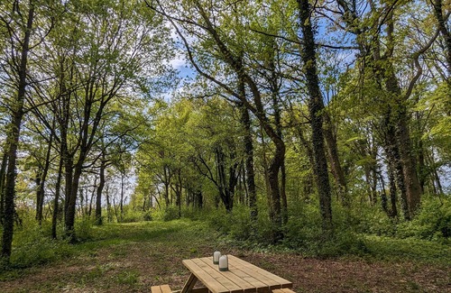 Sonchamp Cabine | Tiny House La Clairière | Au cœur de la forêt !