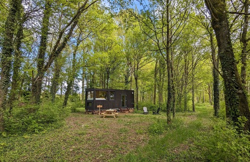 Sonchamp Cabine | Tiny House La Clairière | Au cœur de la forêt !