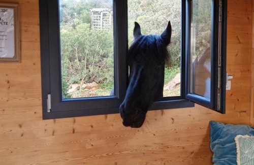 Sao Clemente Chalet De Ski | Tiny House Loul Algarve no1