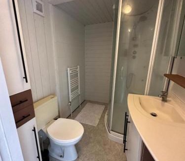 Anloo Chalet De Ski | Tiny house naast Kniphorstbosch